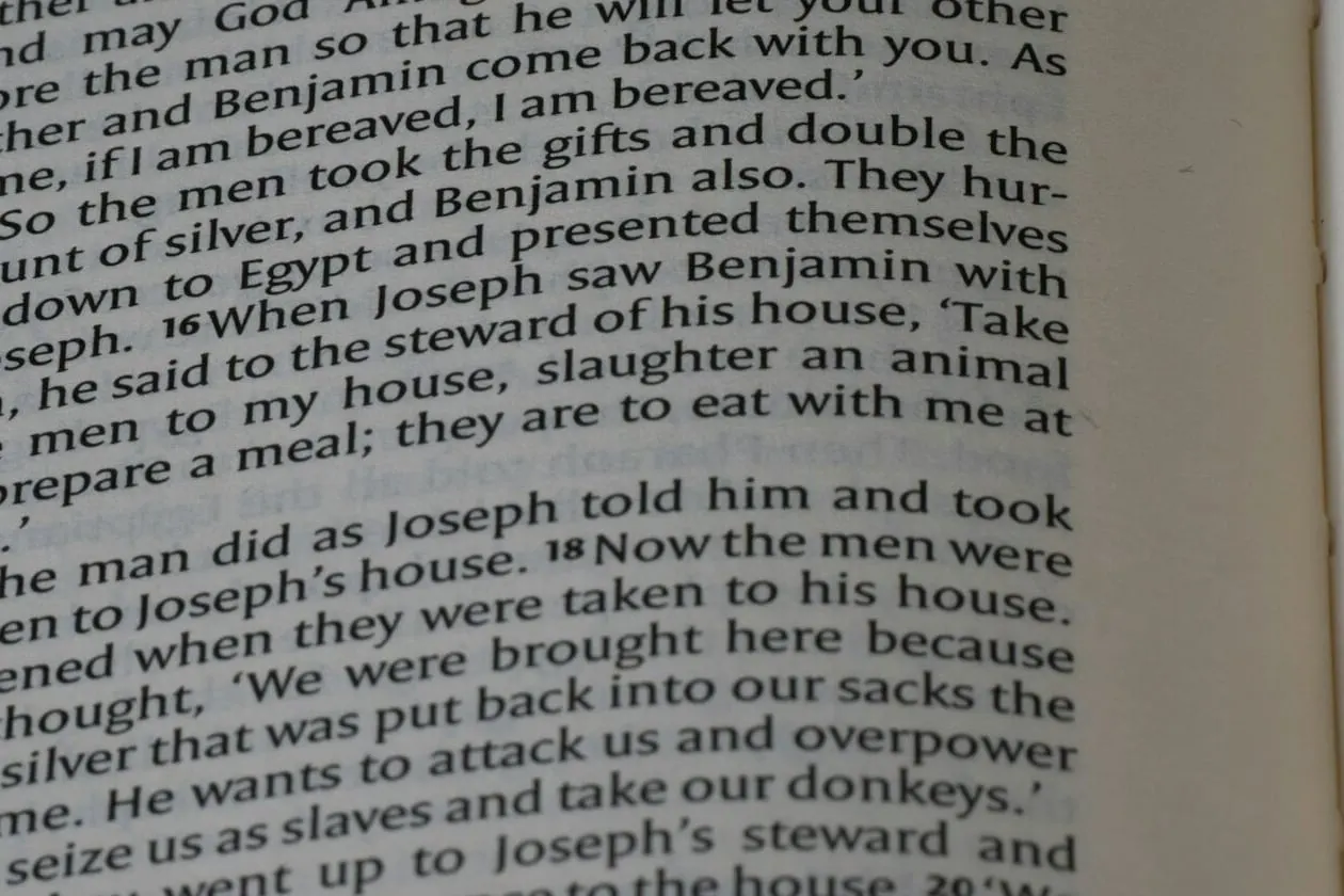 Close-set lines of printed text on the page of an open book.